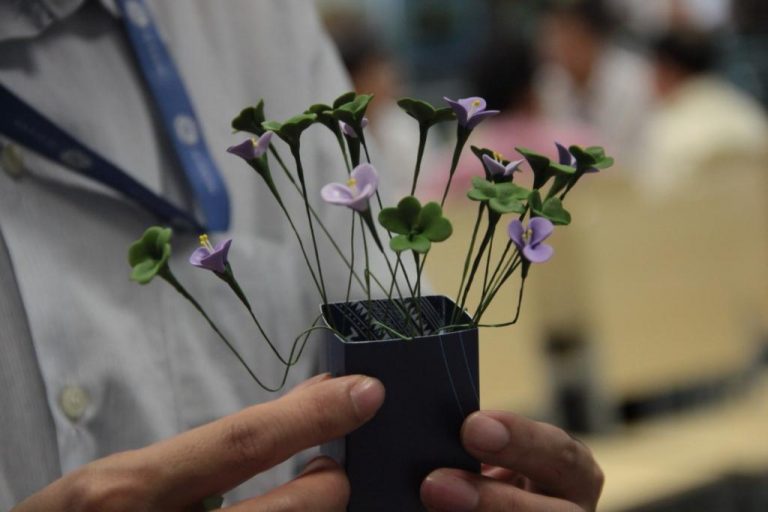 Kỷ niệm Ngày Phụ nữ Việt Nam 20/10: Hội chợ của niềm vui và lòng nhân ái.