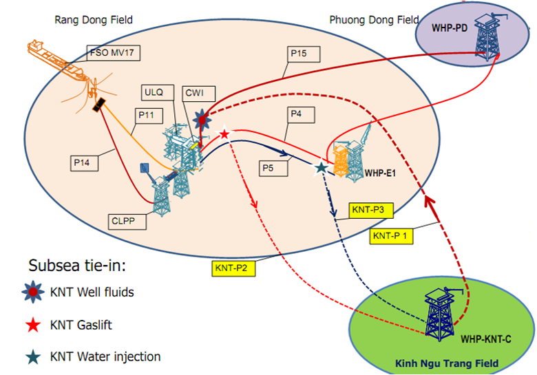 PHÁT TRIỂN MỎ KÌNH NGƯ TRẮNG